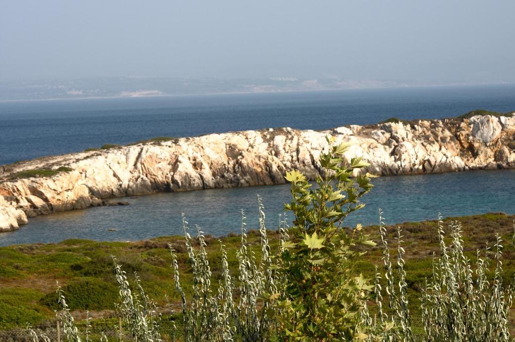 Akvaryum Hotel Bozcaada Pokój zdjęcie